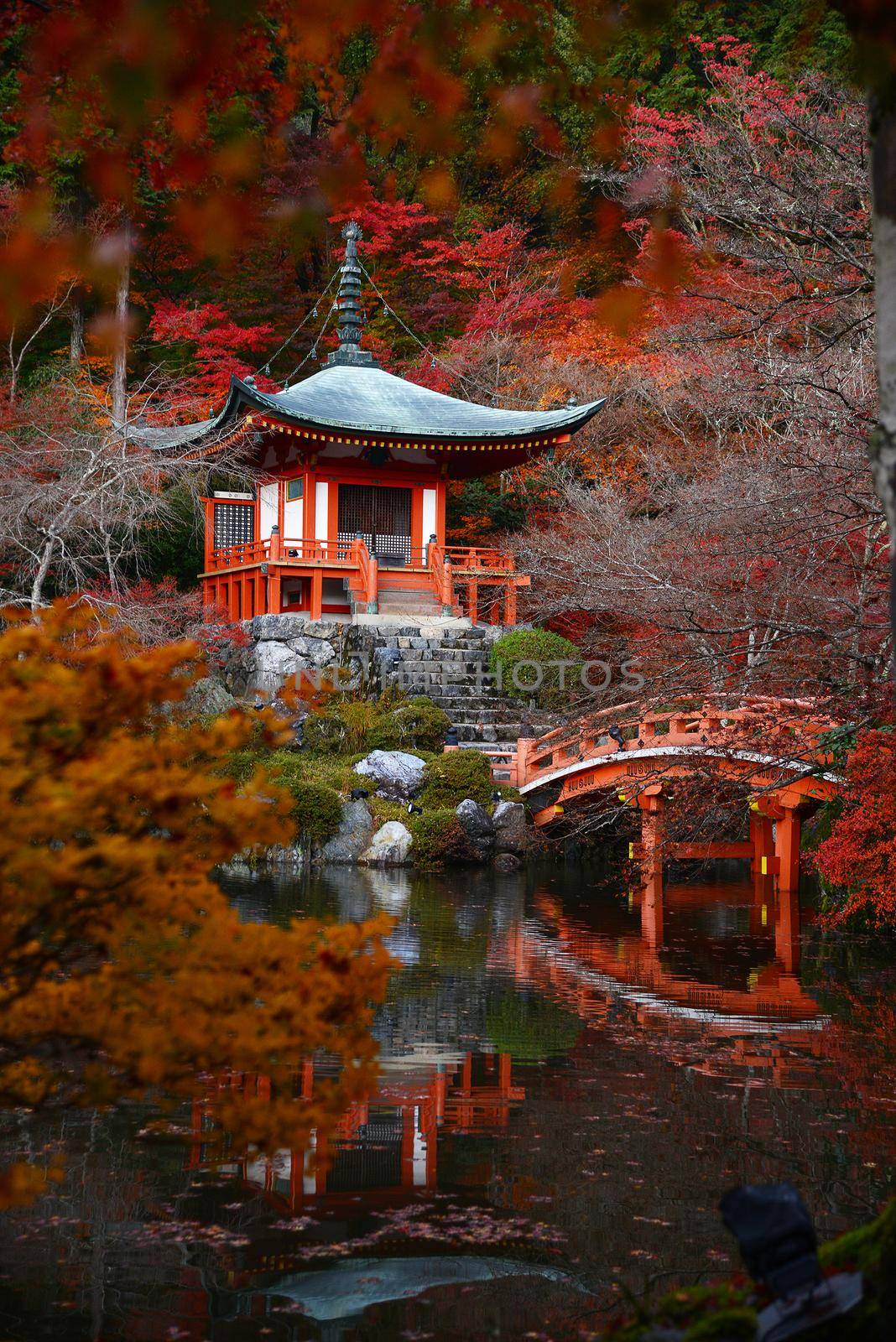 japanese building in Daigoji temple in kyoto with autumn scene