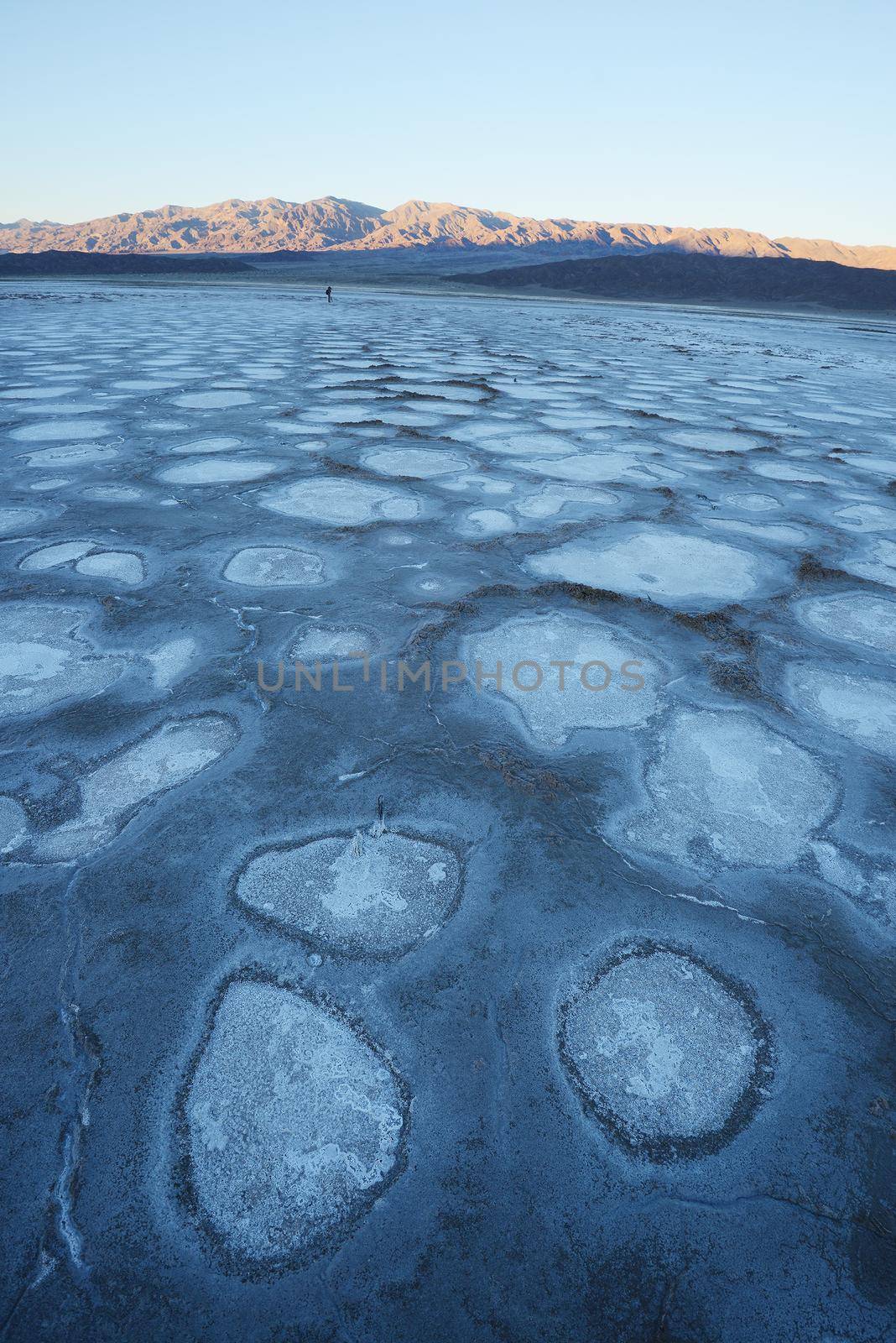 dried mud pattern at a salt flat basin at death valley national park
