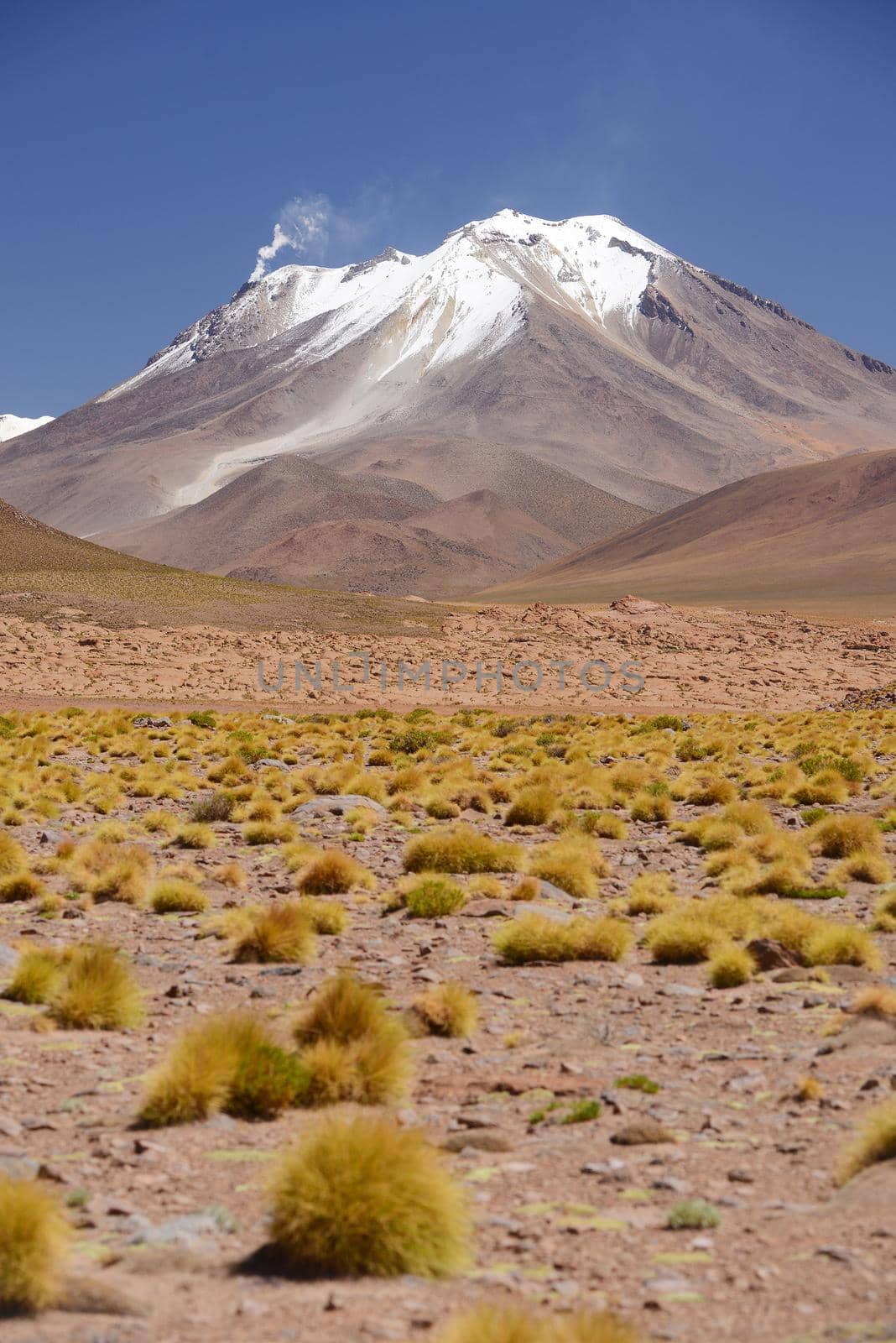 snow cap mountain in high altitude atacama desert in bolivia