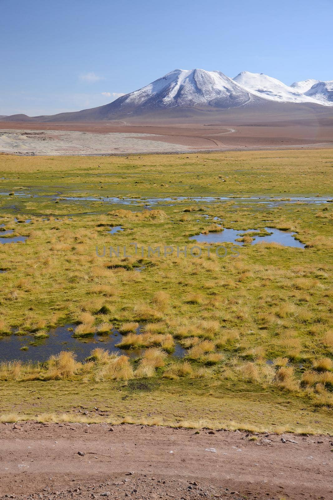 snow mountain and wet land in northern chile