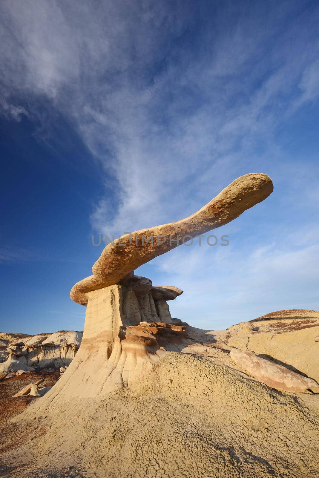a long wing rock at king of wing in new mexico