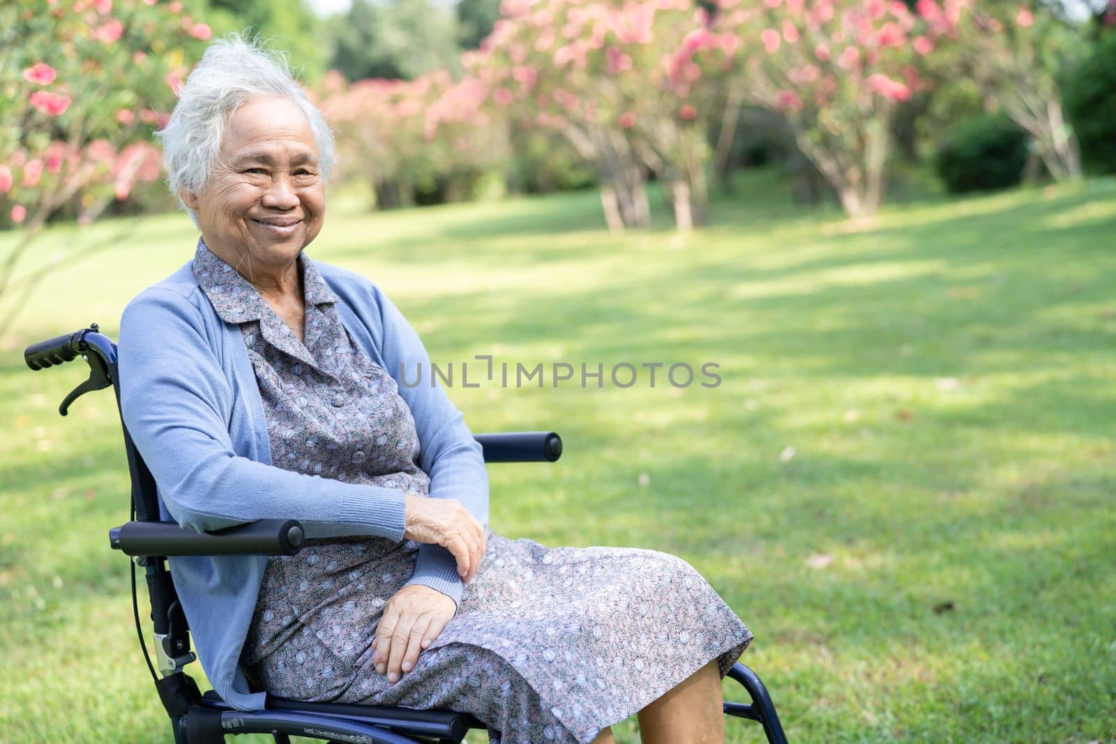 An elderly woman traveler with straw hat sitting on wheelchair for travel in park.