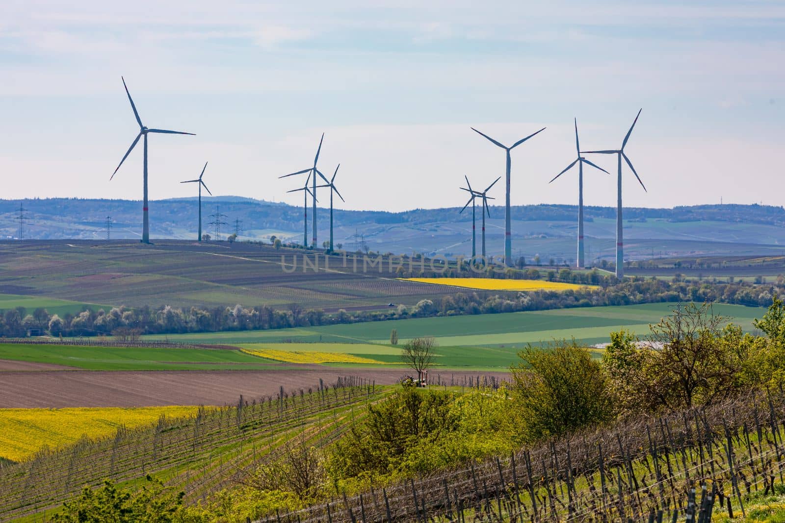 Rural landscape with vineyards and wind turbines to generate electricity for the German Energiewende in global energy crisis