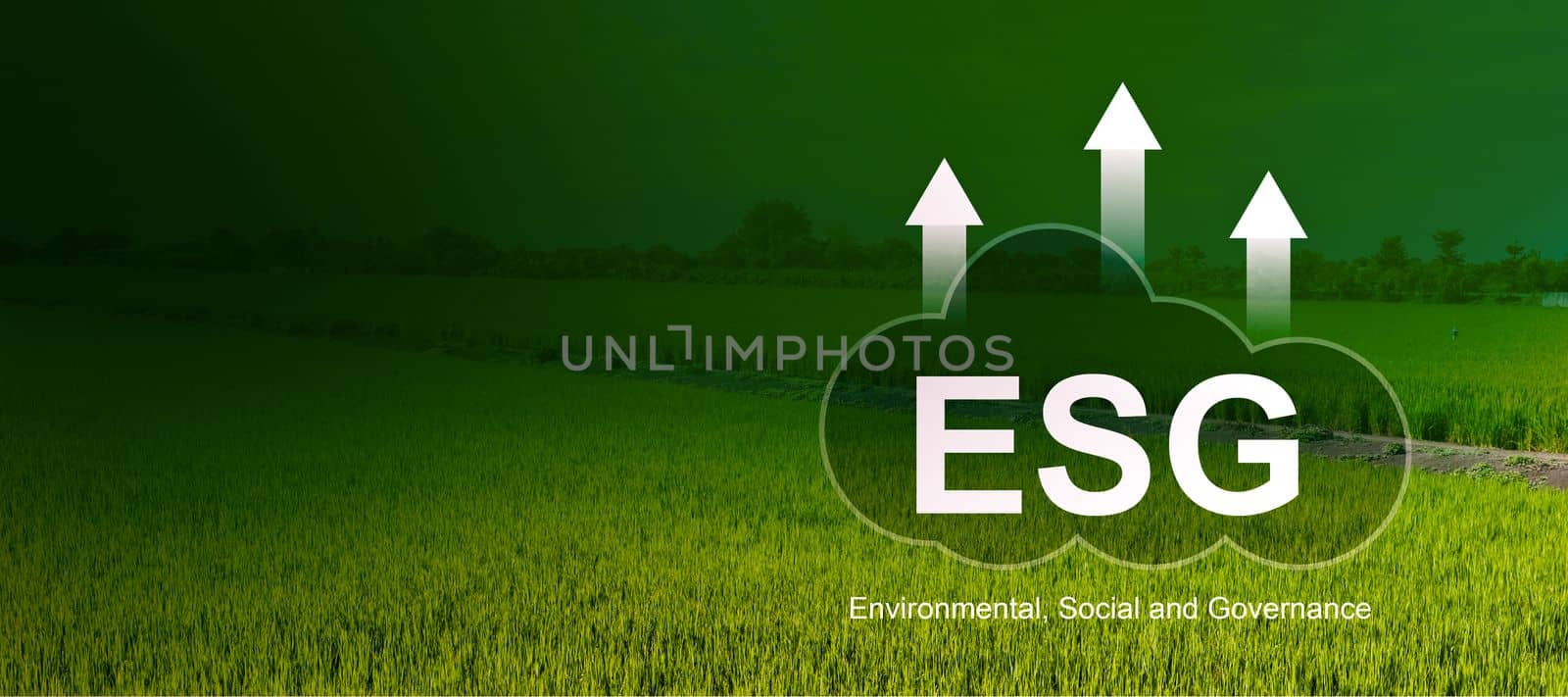 ESG, environmental, social and governance for sustainable organizational business company development. by pamai