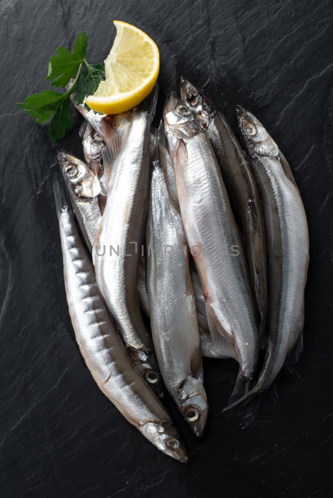 Freshly caught small marine fish on a plate on a gray concrete background with copy space. Capelin, ready to cook, with lemon, coarse sea salt. Top view, flat