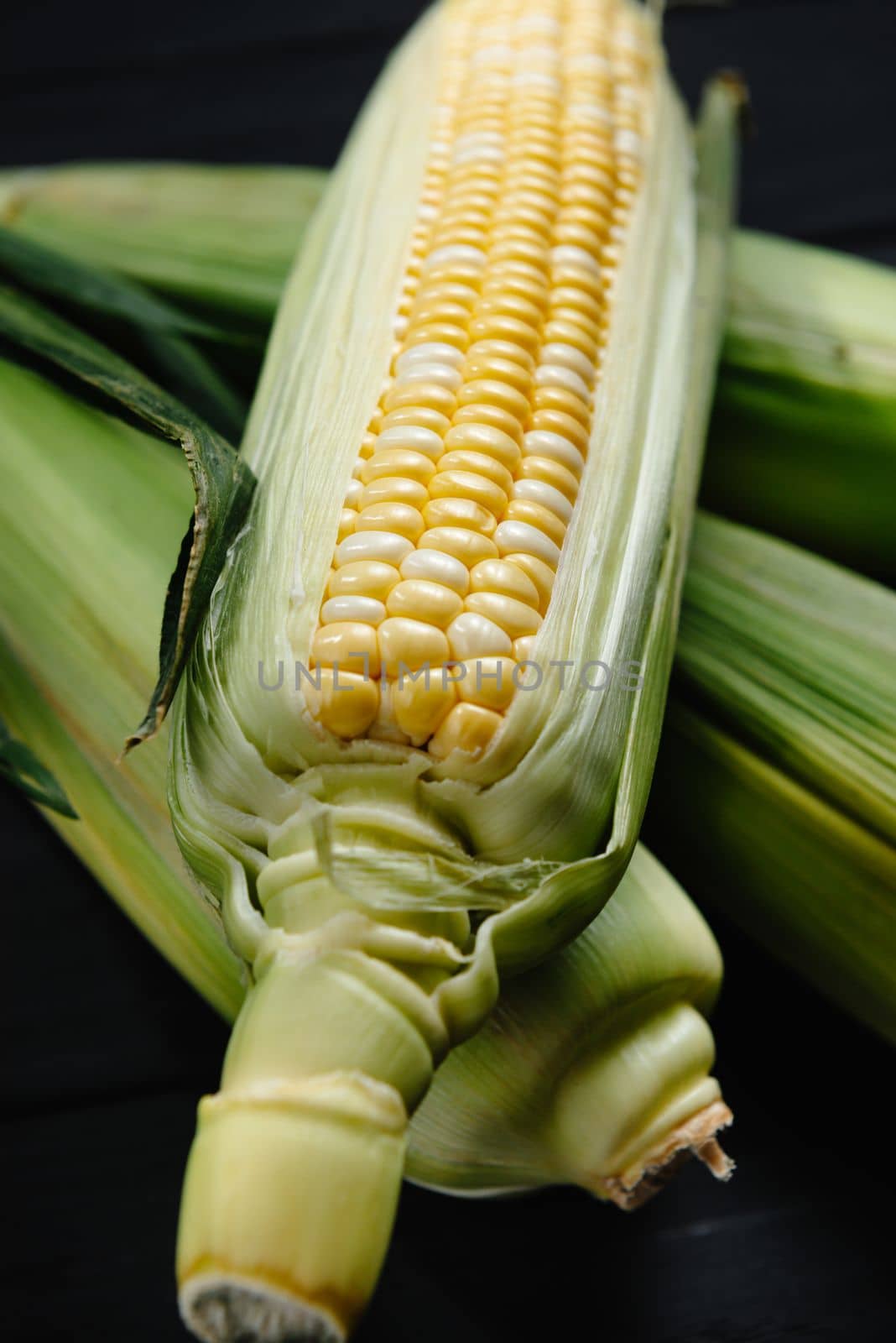 Green corn in close-up. Raw corn on dark background.