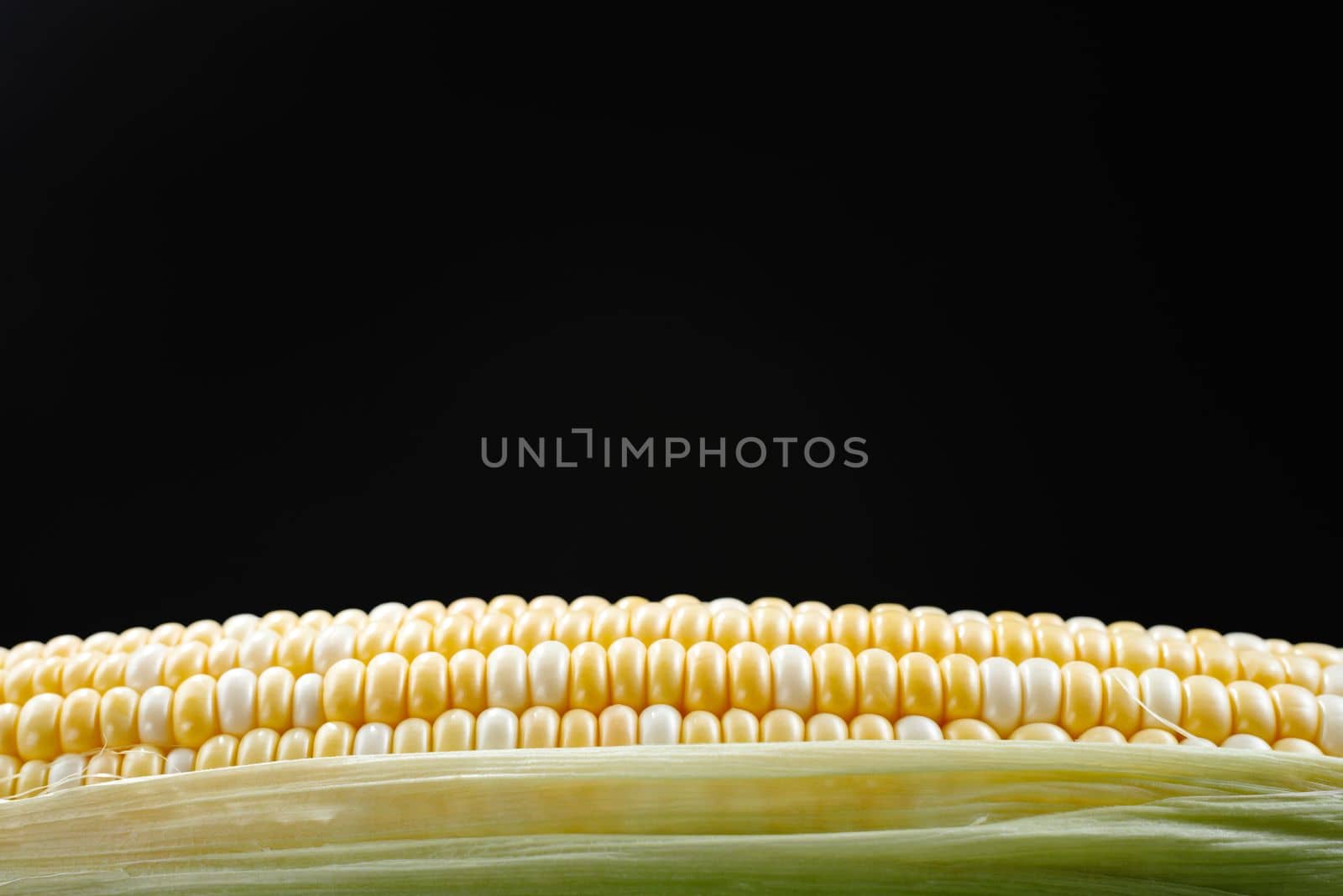 Raw corn in close-up. Corn kernel on black background. View from an angle.
