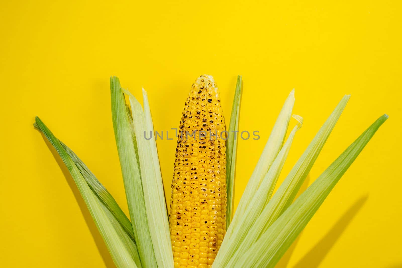 Grilled corn lies on a yellow background. Bright food shot with flash. Flashy food
