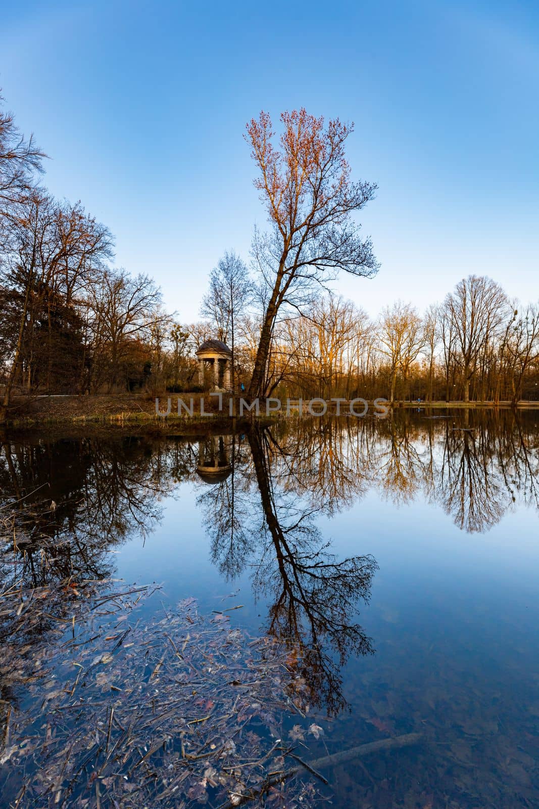 Beautiful colorful park after winter at afternoon reflected in small lake