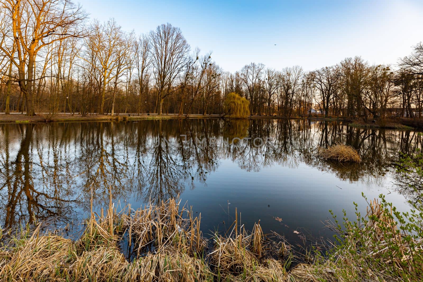 Beautiful colorful park after winter at afternoon reflected in small lake by Wierzchu