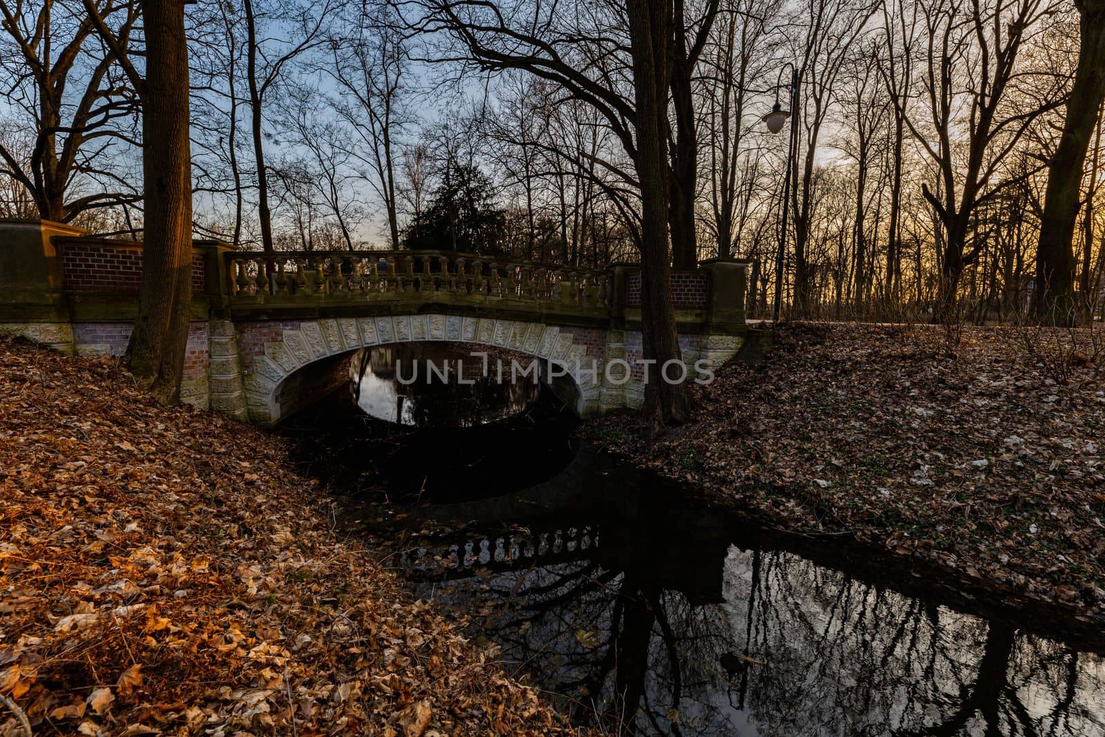 Beautiful colorful park after winter at afternoon reflected in small lake by Wierzchu