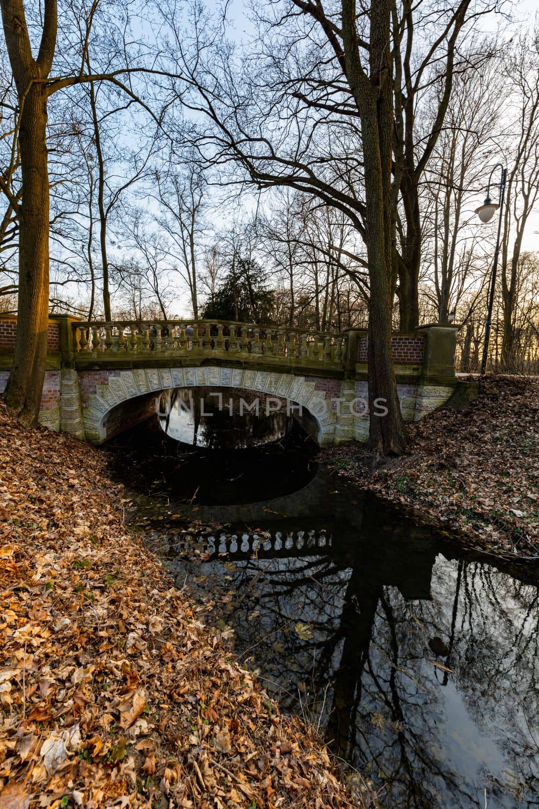 Beautiful colorful park after winter at afternoon reflected in small lake