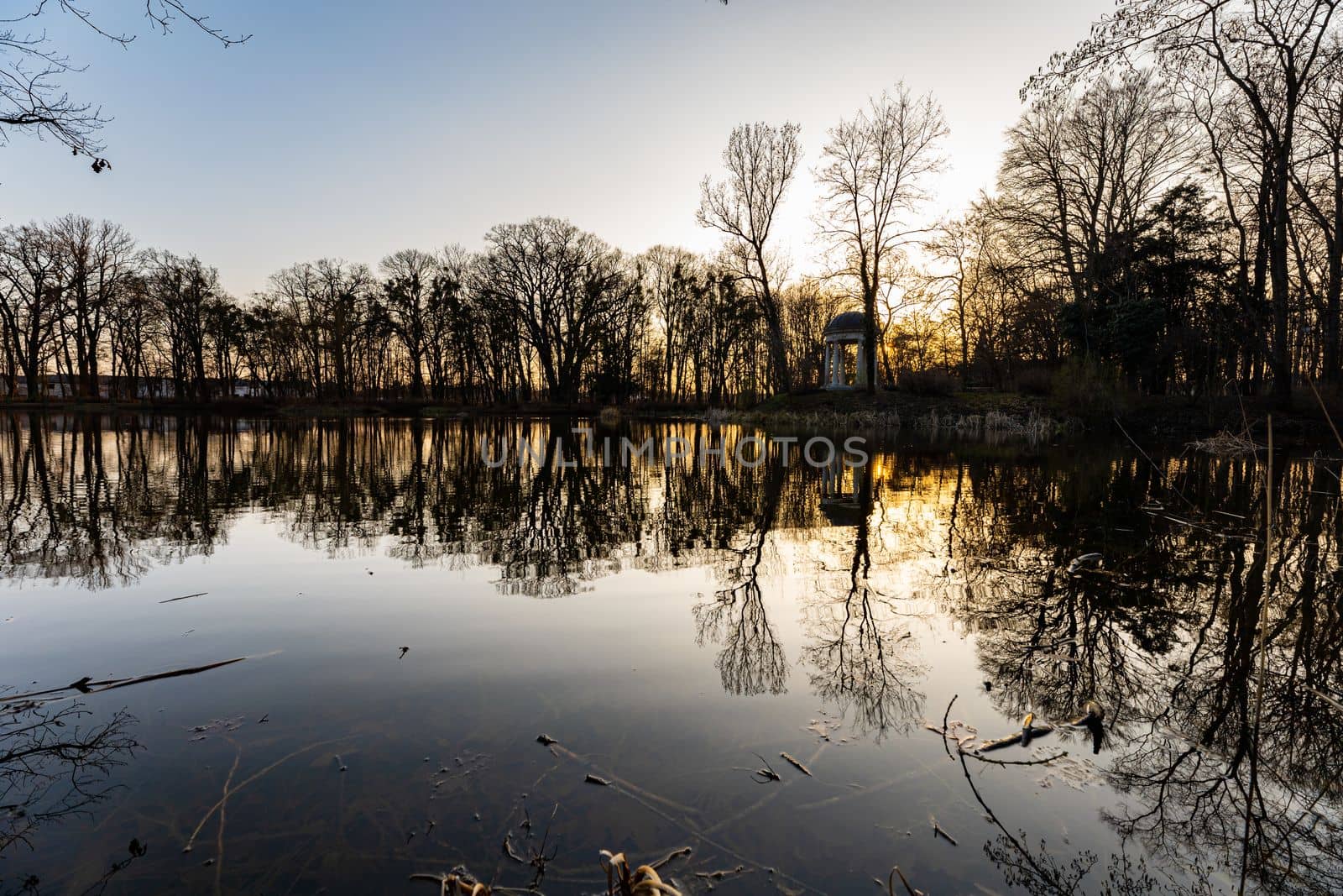 Beautiful colorful park after winter at afternoon reflected in small lake by Wierzchu