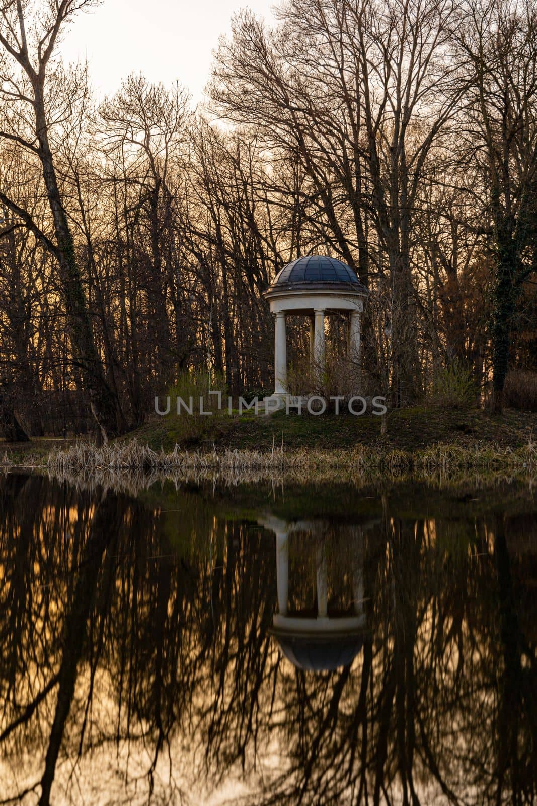 Beautiful colorful park after winter at afternoon reflected in small lake by Wierzchu