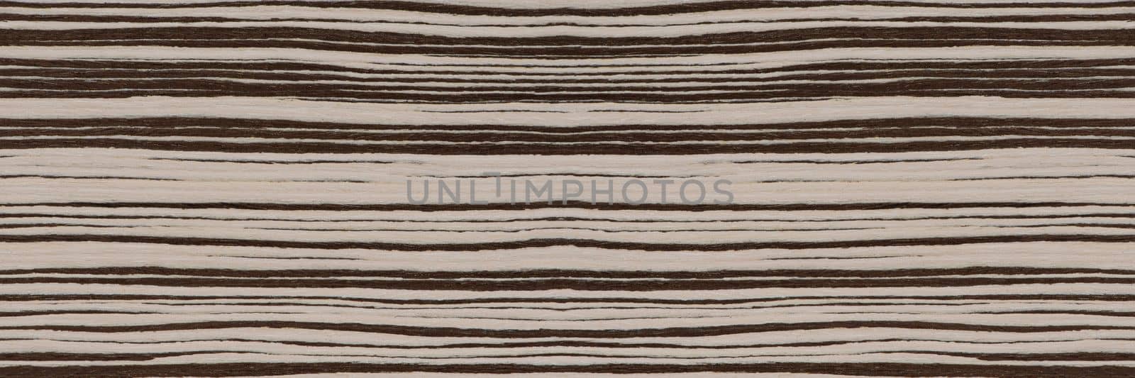 Texture of natural wood with horizontal black and white stripes. Zebra wood texture close up. High quality wooden background.