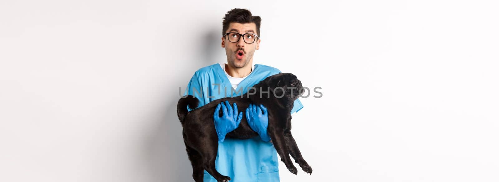 Vet clinic concept. Amazed male doctor veterinarian holding cute black pug dog, smiling and staring up impressed, standing over white background.