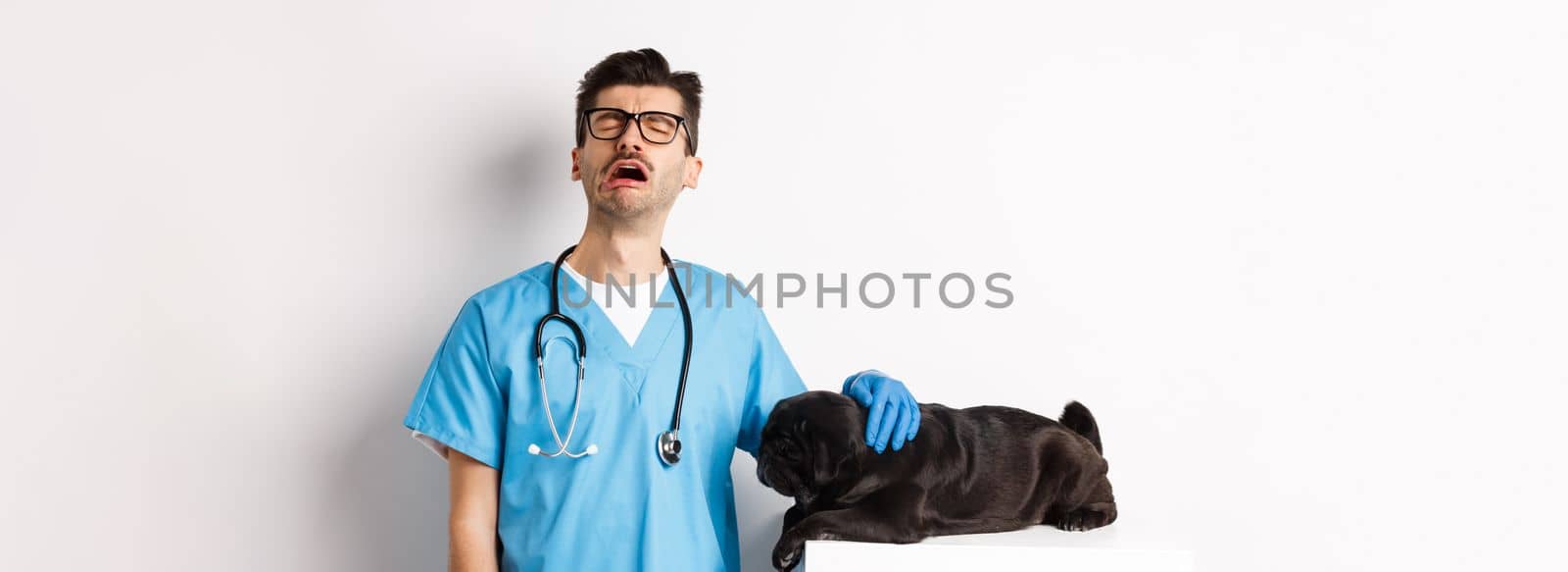 Sad male doctor filling pity for cute black dog pug lying sick on vet clinic table, veterinarian crying and petting puppy, white background by Benzoix