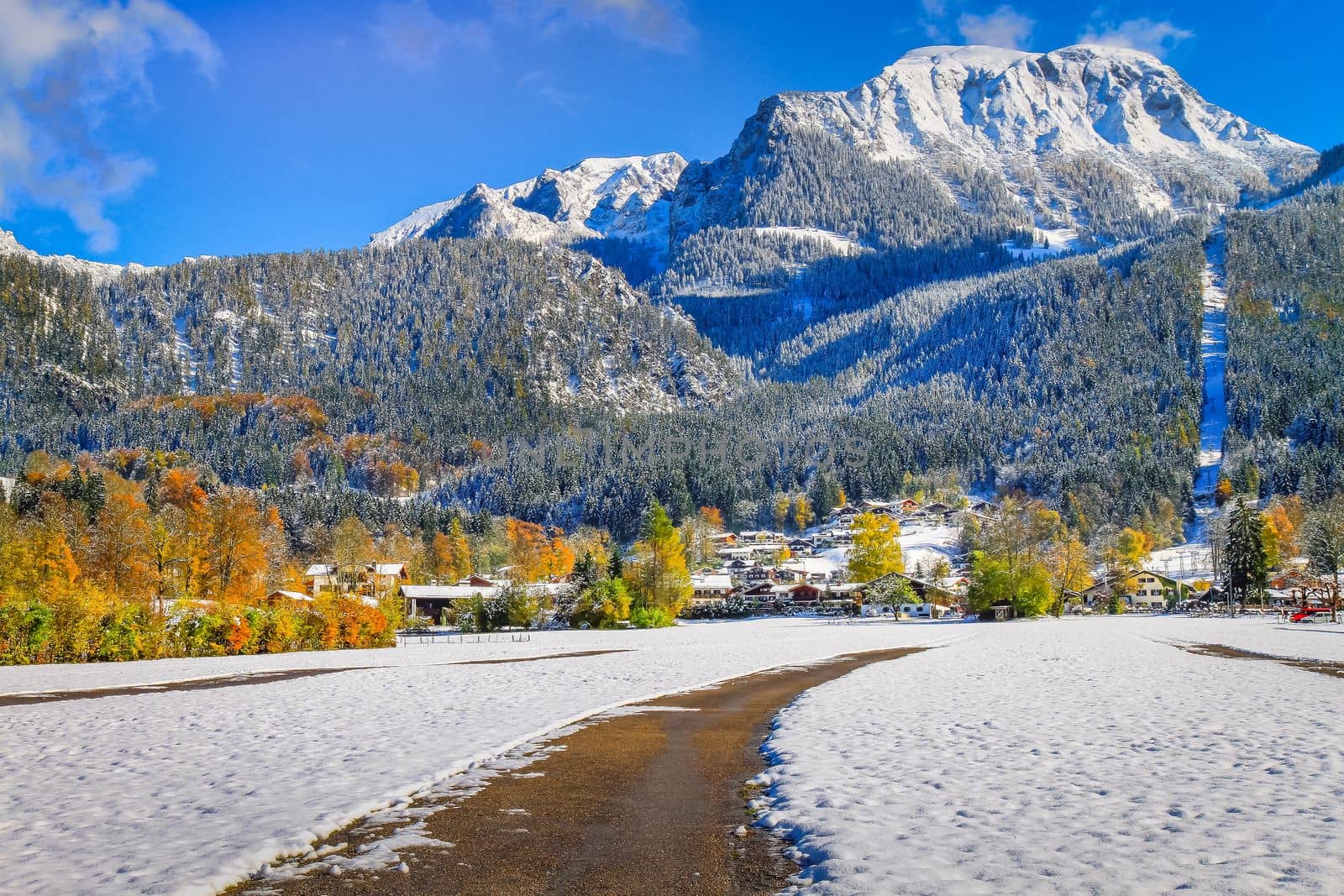 Road into snowy mountain and pine woods in bavarian Alps at autumn, Germany