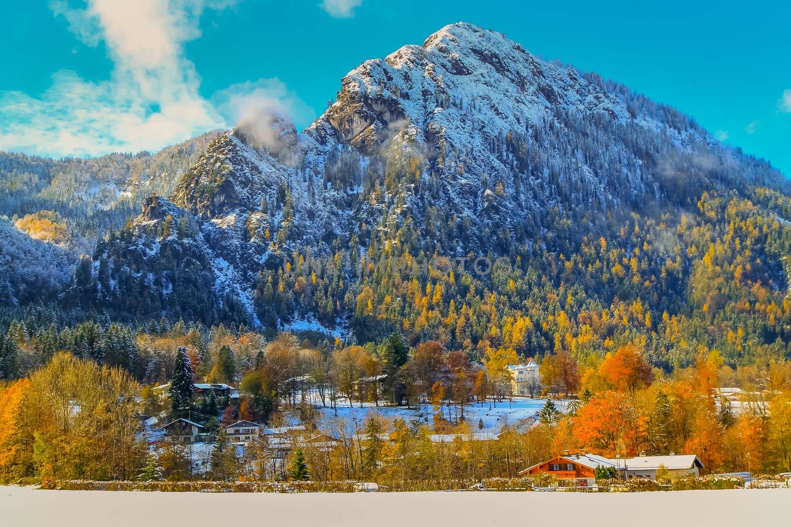 Road into snowy mountain and pine woods in bavarian Alps at autumn, Germany