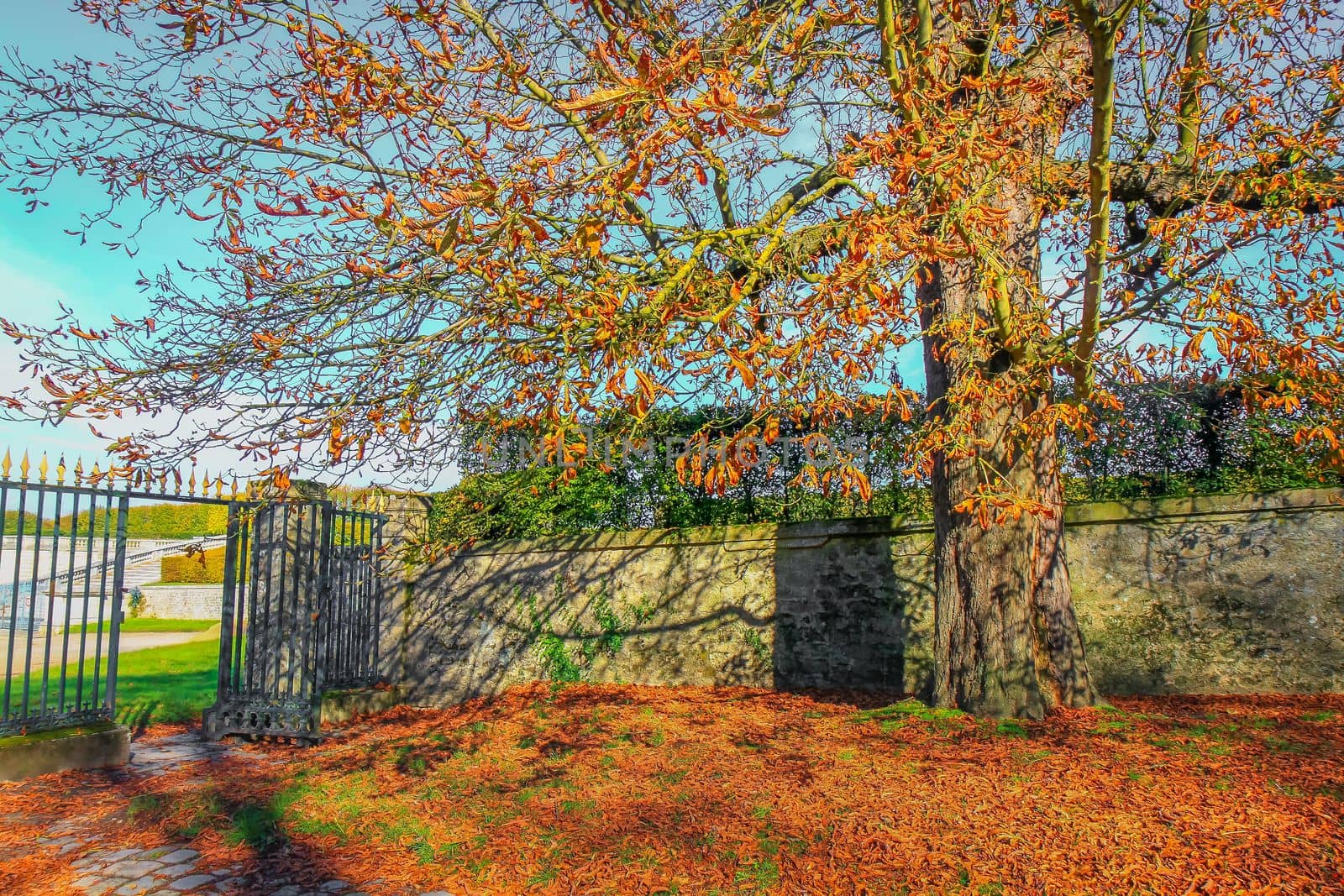 Autumn foliage colors in Paris public park landscape, France