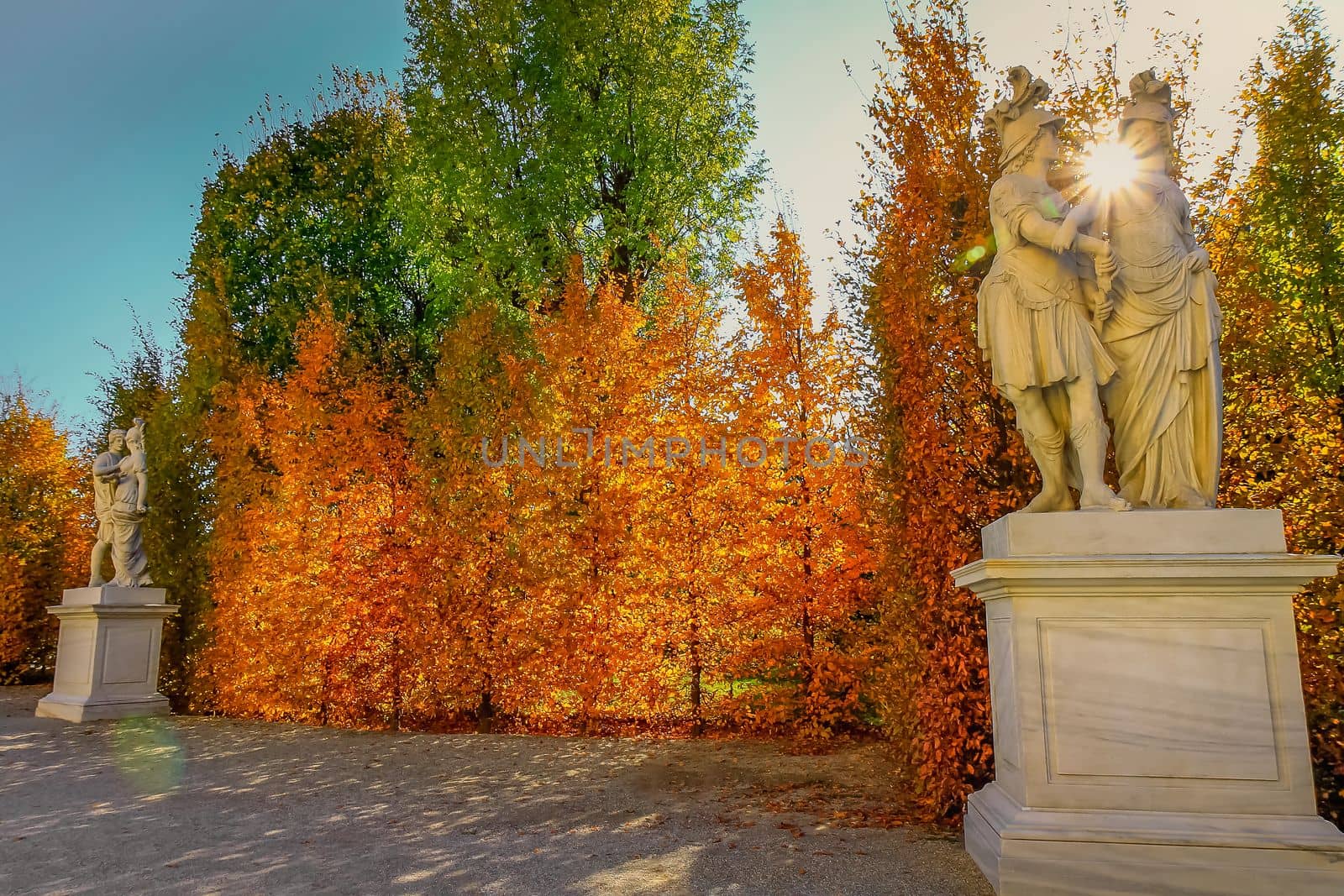 Autumn foliage colors in Vienna public park landscape, Austria