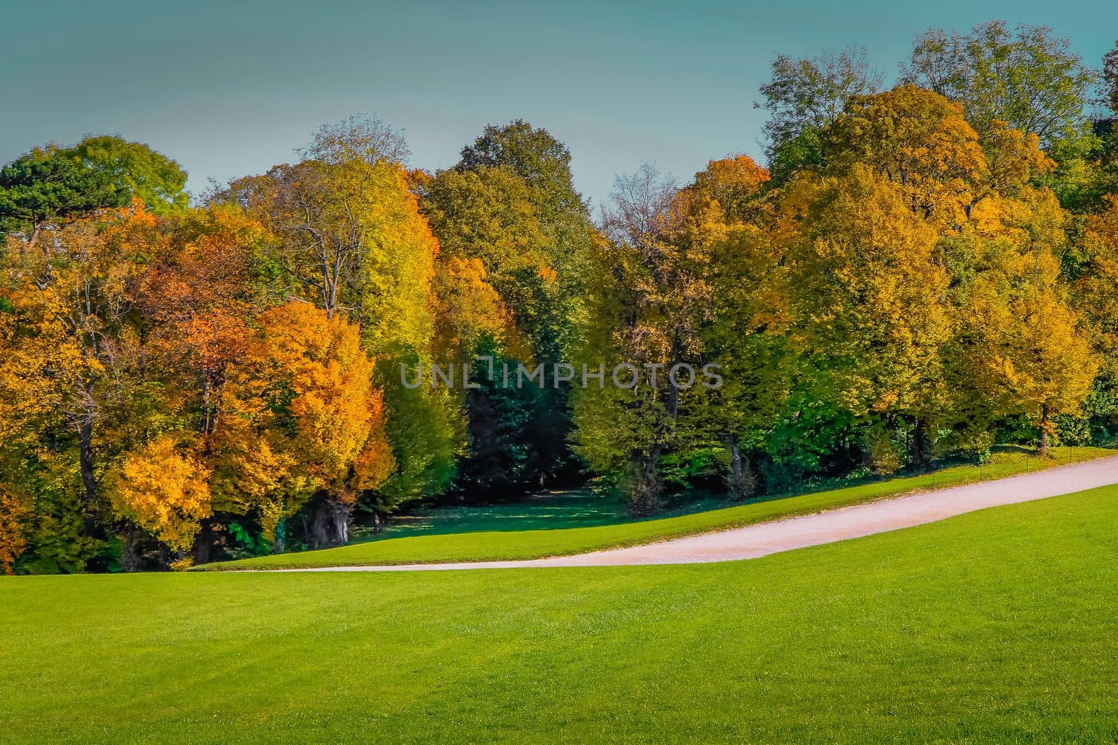 Autumn foliage colors in Vienna public park landscape, Austria