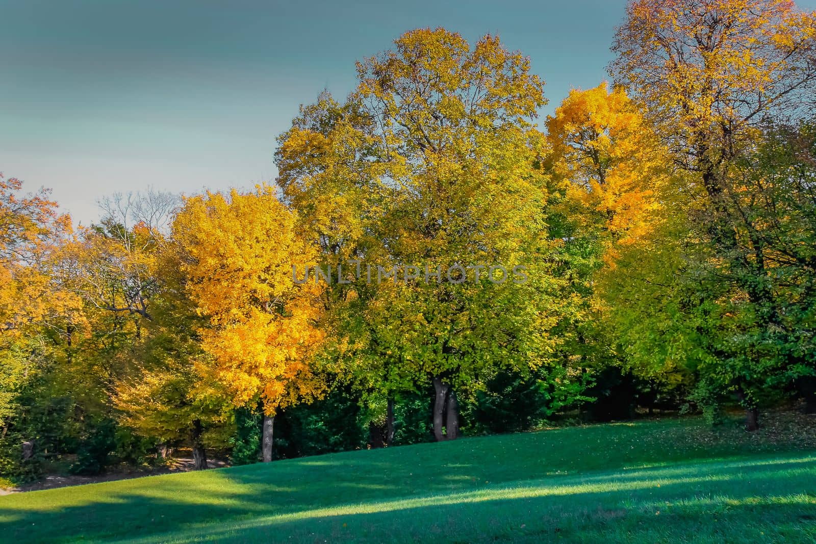 Autumn foliage colors in Vienna public park landscape, Austria