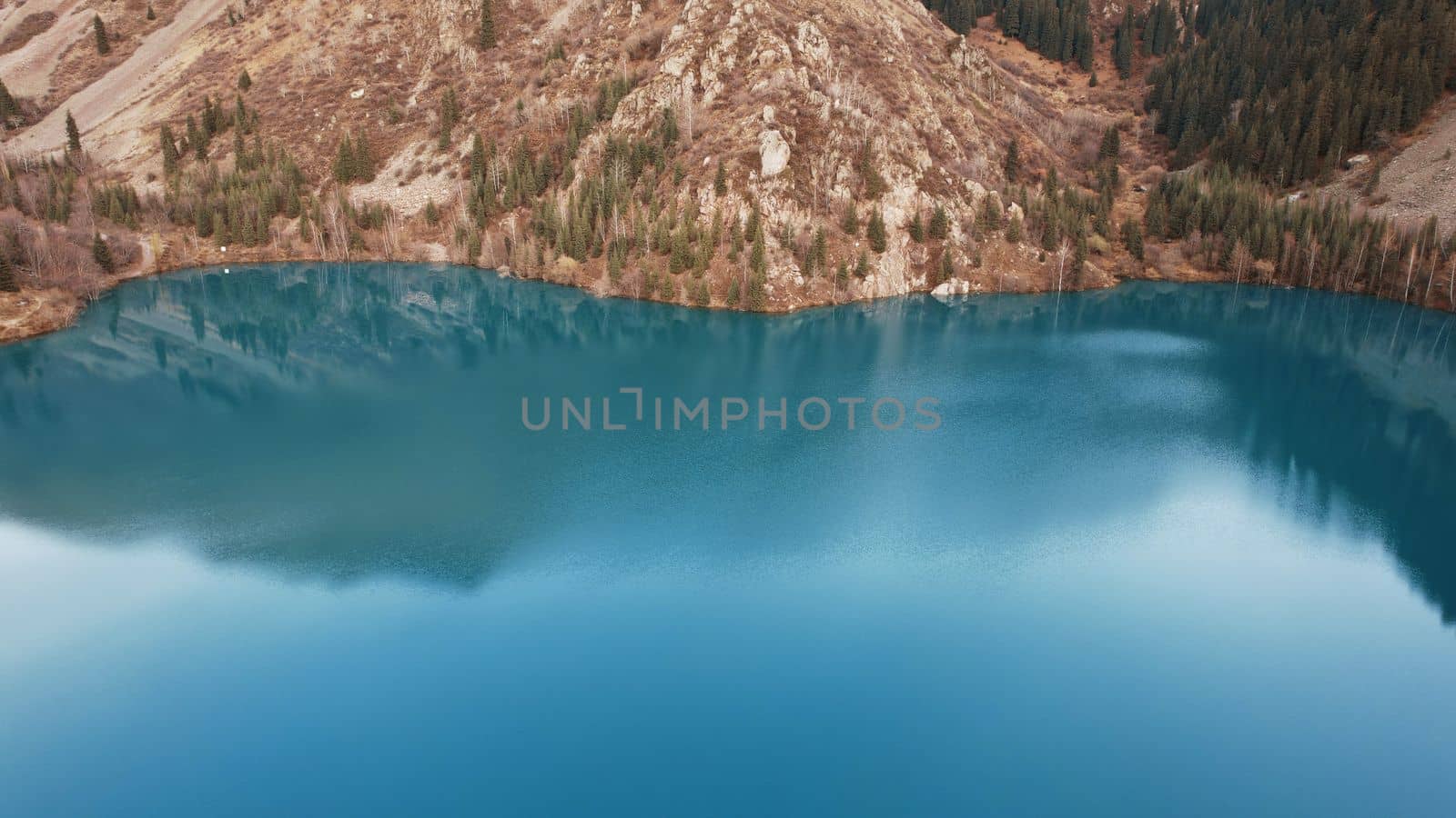 Dark blue mirror color of water in a mountain lake. The smooth surface is like a mirror, trees, yellow-green hills, mountains and the sky are reflected. Tree trunks are standing in the water. Issyk