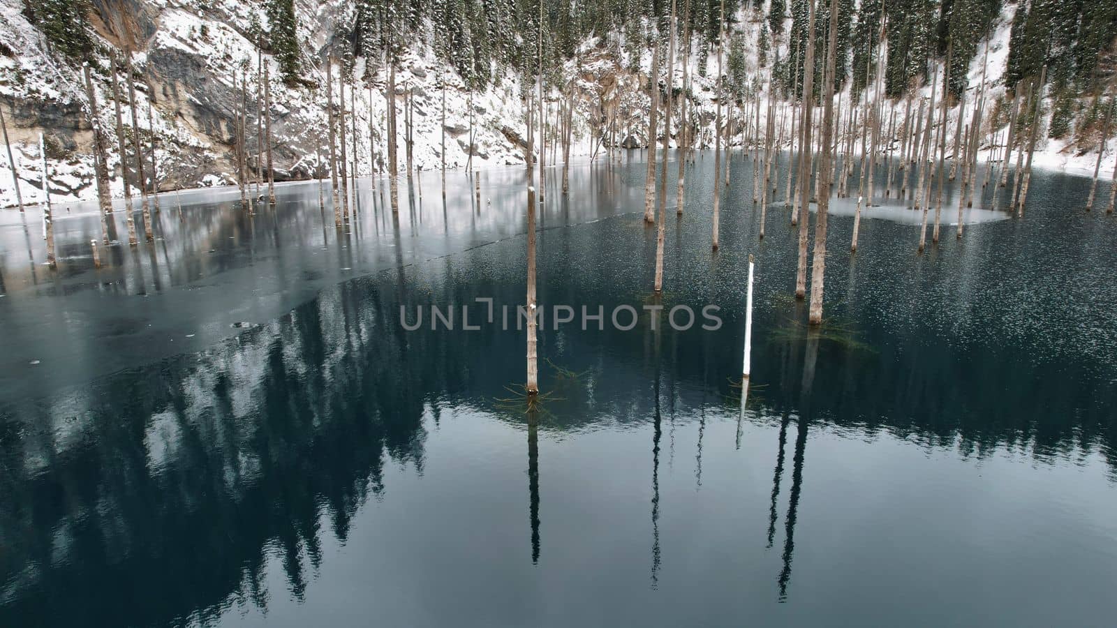 Coniferous tree trunks come out of a mountain lake. Smooth water like a mirror reflects the snowy mountains and the forest. High peaks in the clouds. Kaindy Lake is freezing. Bushes grow on the shore