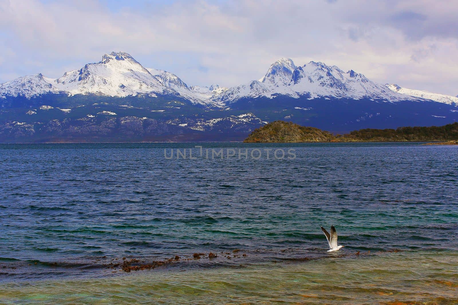 Beagle Channel in Tierra Del Fuego, Ushuaia, Argentina, South America