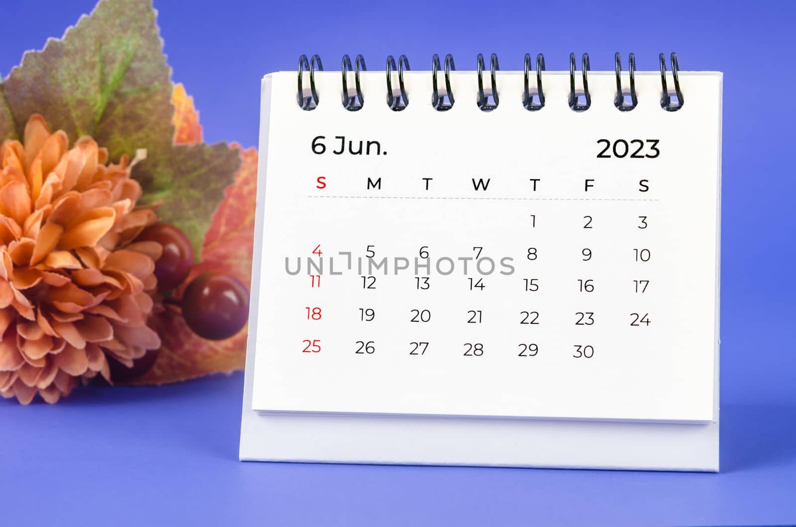June 2023 Monthly desk calendar for 2023 year with flower on purple background.
