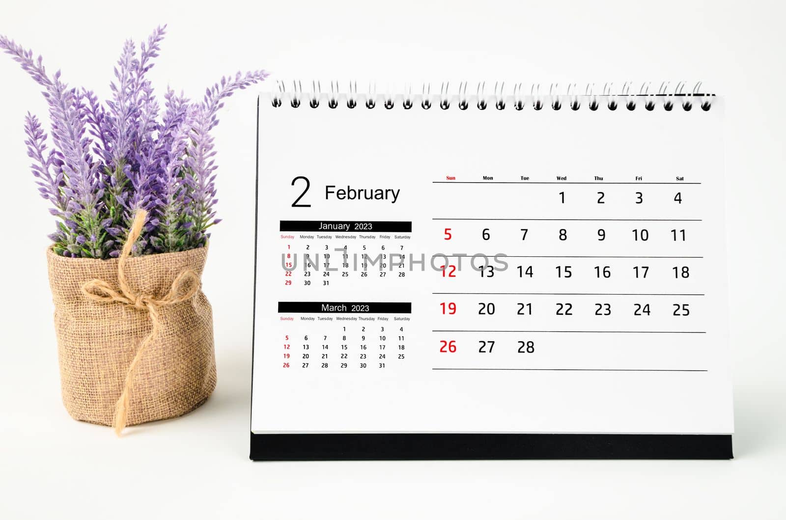 February 2023 Monthly desk calendar for 2023 year with flower isolated on white background.