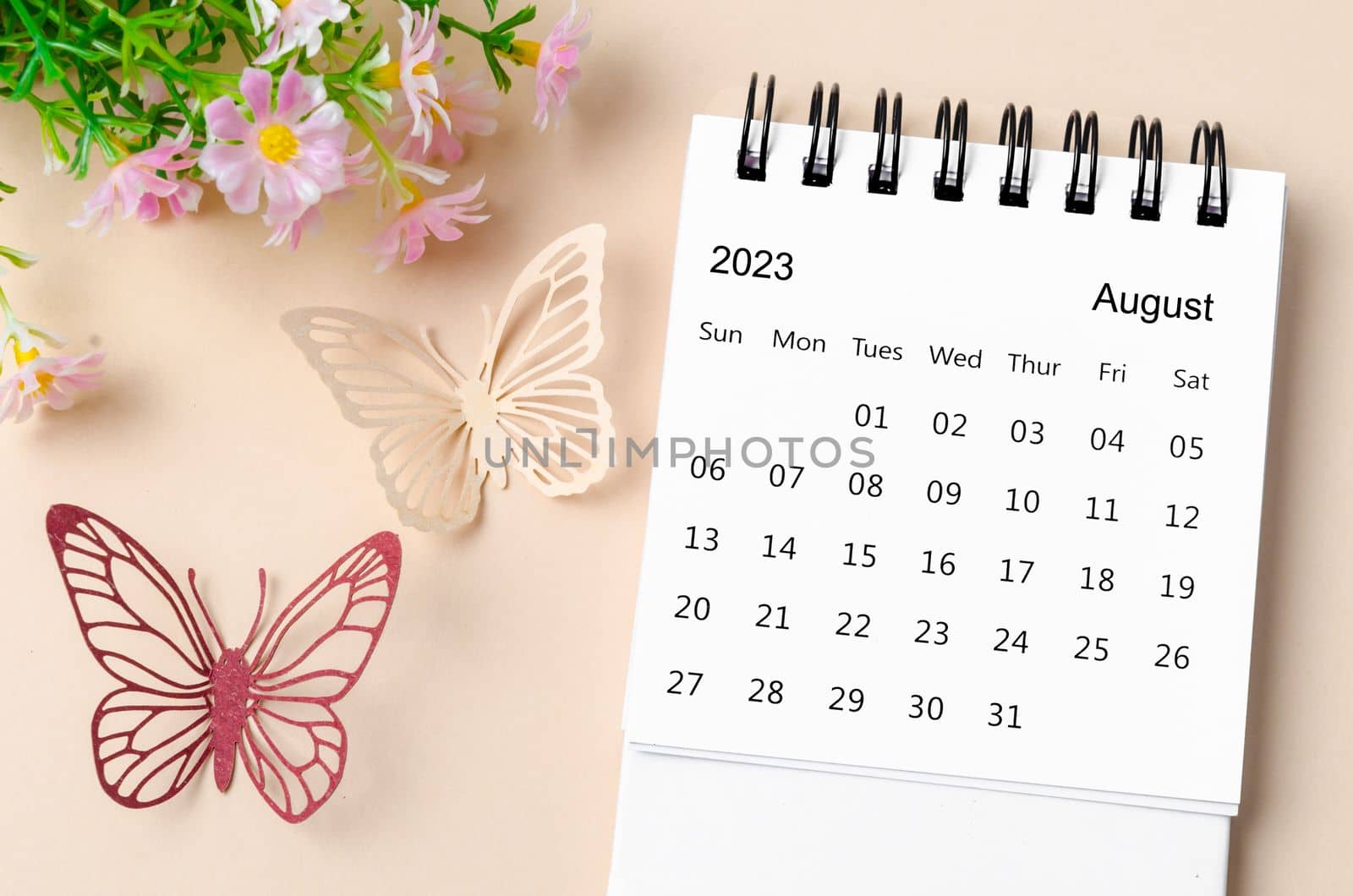 August 2023 desk calendar for the organizer to plan, reminder and butterfly paer with flower on yellow background.