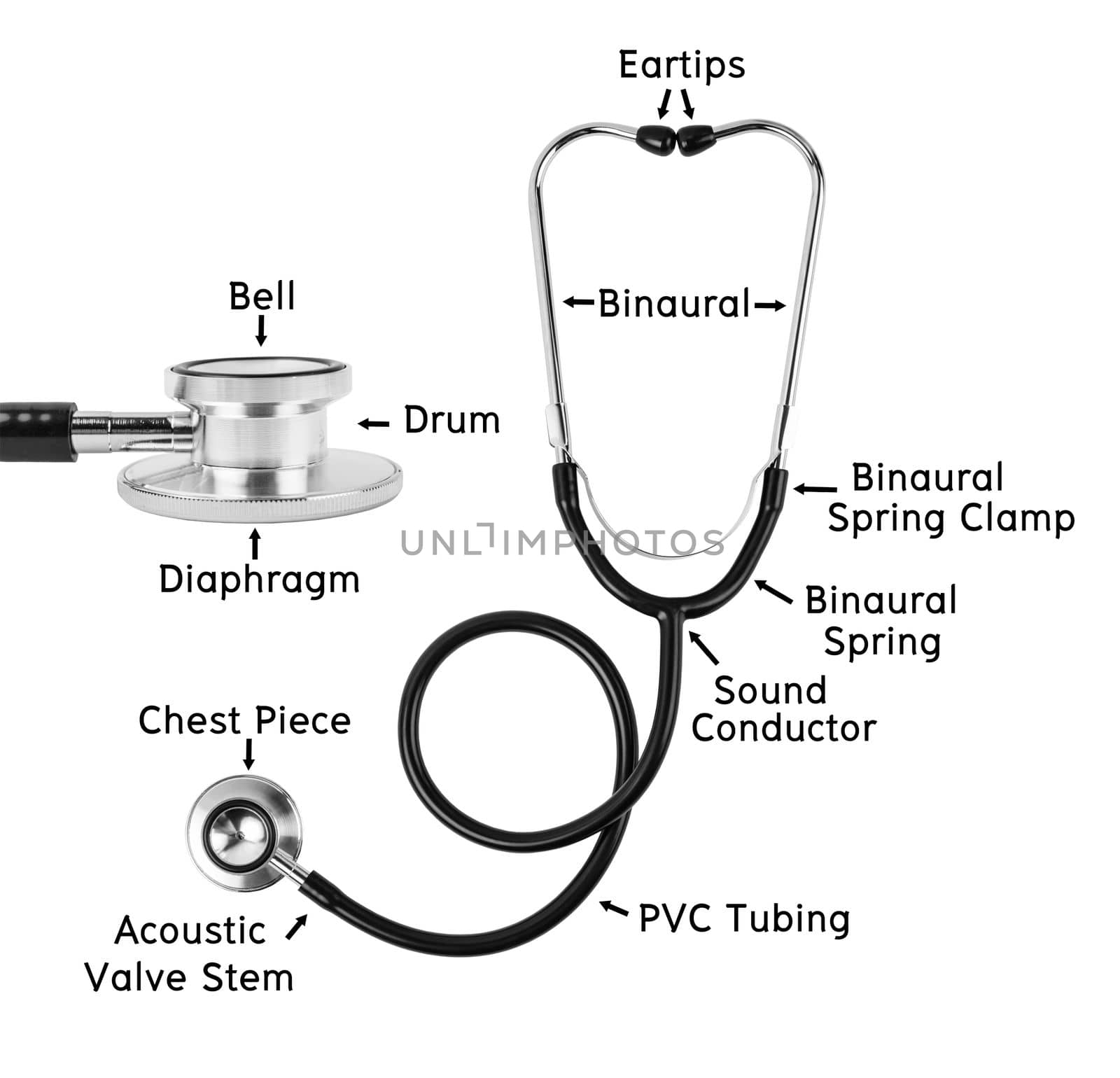 Anatomy of a Stethoscope Medical or components of a Stethoscope Medical isolated on white background, Saved clipping path.