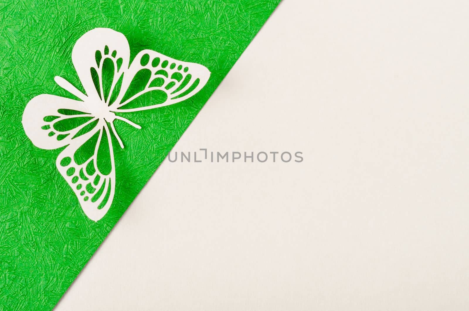 Butterfly made from carve paper or cutting on green and yellow background with empty space for your text or message.