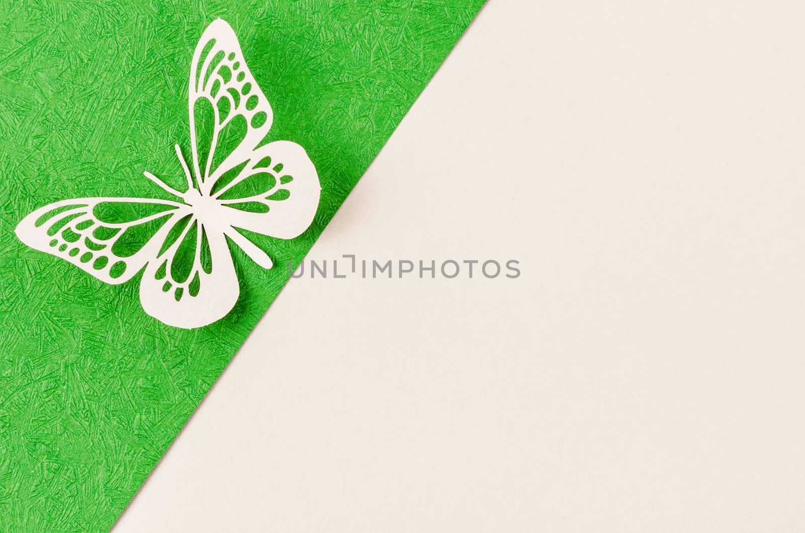 A Butterfly made from carve paper or cutting on green and yellow background with empty space for your text or message.