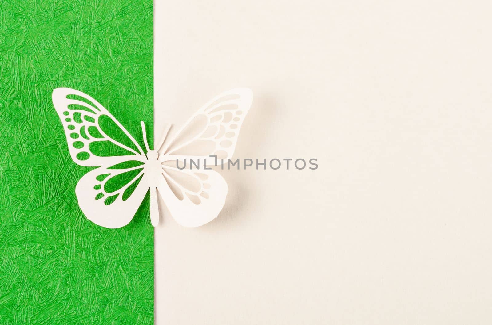 Butterfly made from carve paper or cutting on green and yellow background with empty space for your text or message.