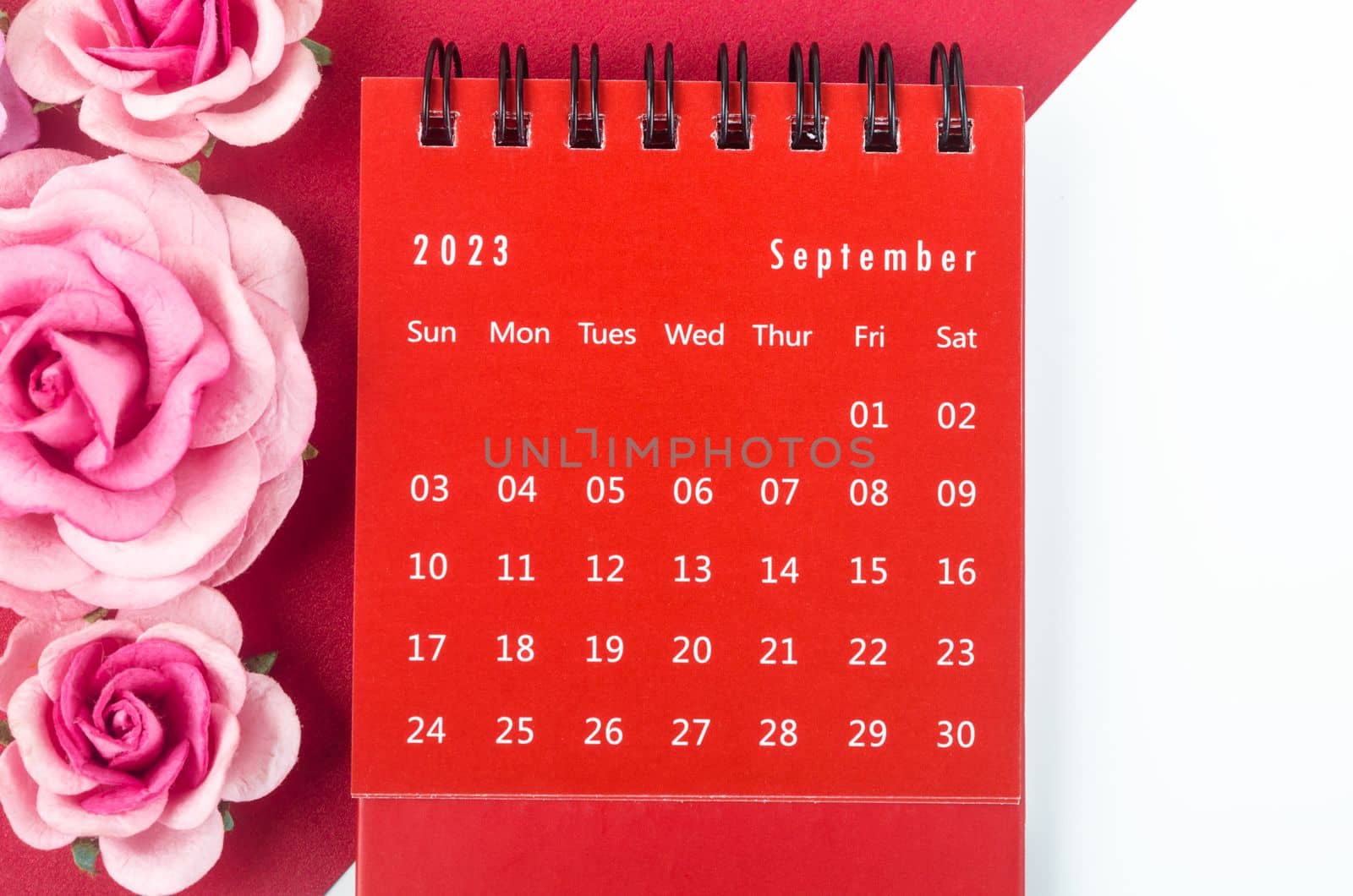Red September 2023 Monthly desk calendar for 2023 year with pink rose.