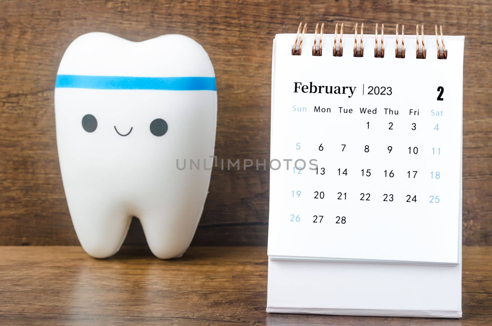 February 2023 Monthly desk calendar for 2023 year with Model tooth on wooden table.