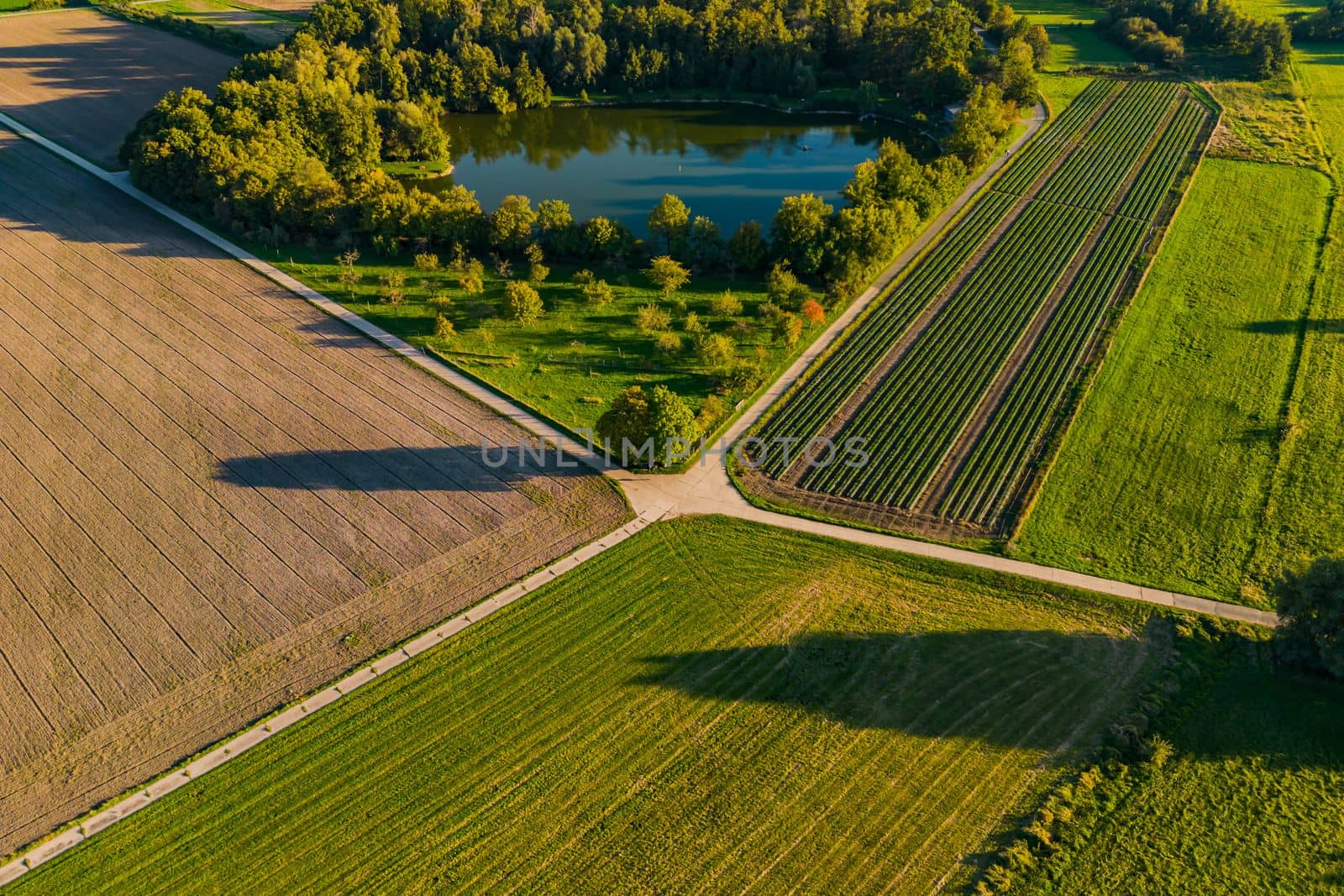 A fishing pond, fields and dirt roads crossing in a rural area with agriculture