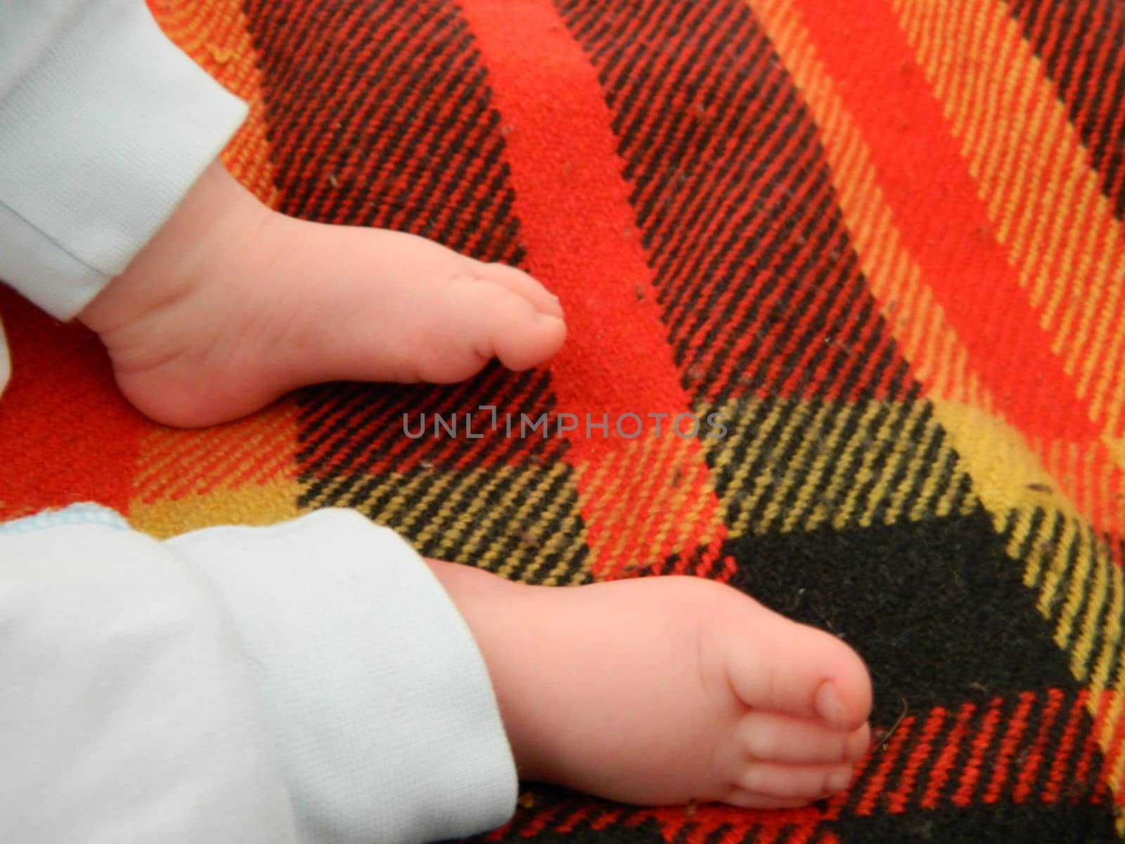 Portrait of a newborn baby boy. High quality photo by milastokerpro