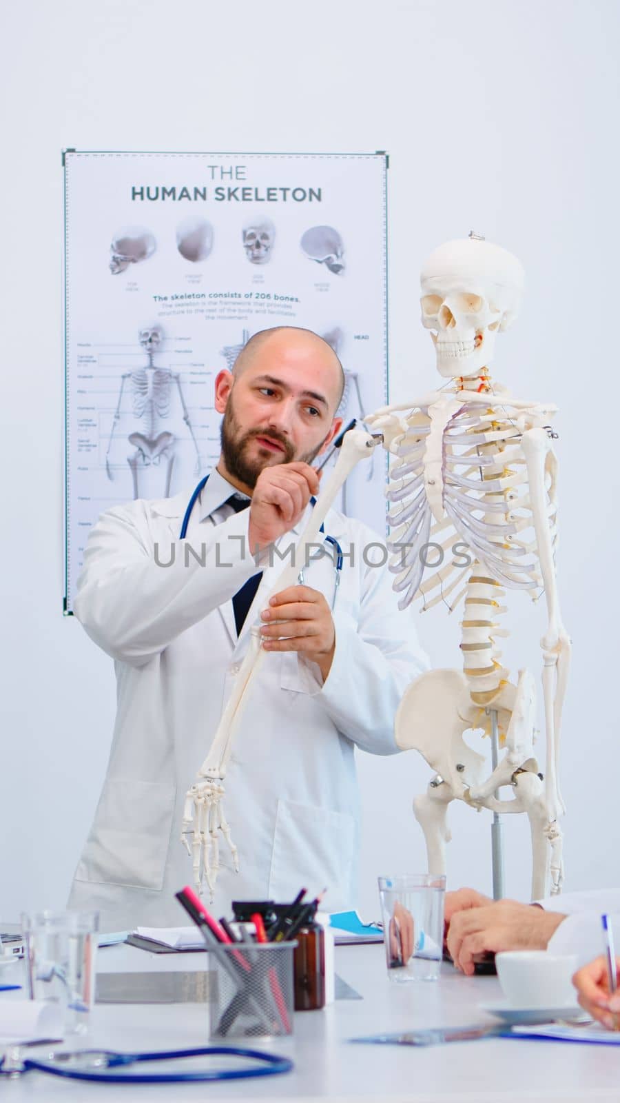 Medical doctor man pointing on cervical spine of human skeleton anatomical model, explaining to coworkers medical procedures in hospital meeting room. Physicians discussing about symptoms of disease