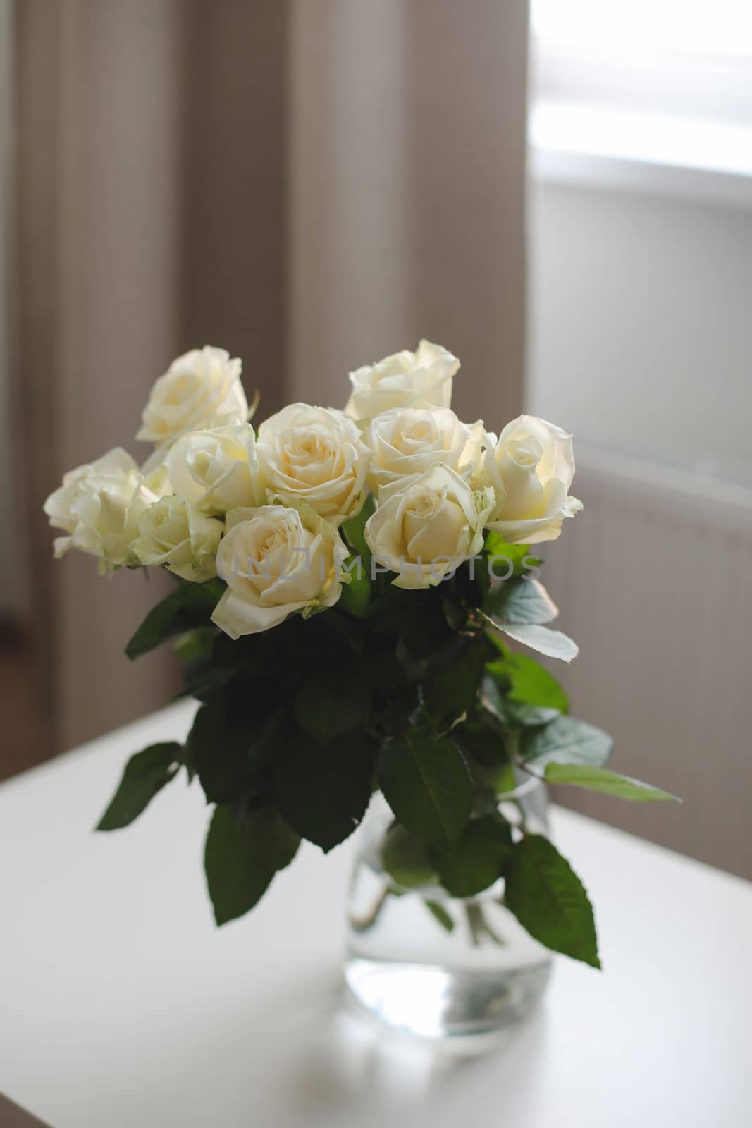 White rose bouquet in a cozy home interior. Floral spring or Valentines day romantic background, happy holiday on February 14, dating and love concept
