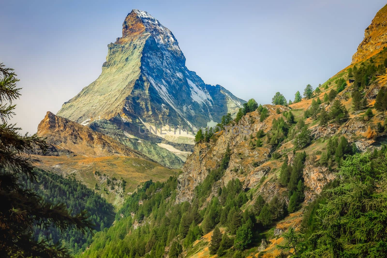 Matterhorn above zermatt pine trees woodland idyllic valley, Swiss Alps
