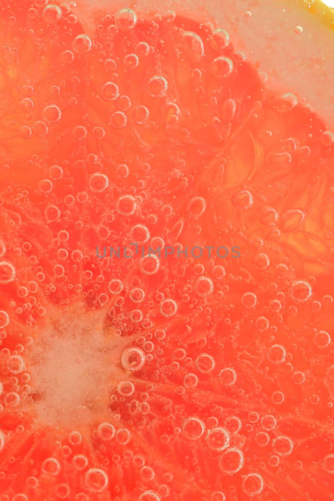 Close-up of a grapefruit slice in liquid with bubbles. Slice of red ripe grapefruit in water. Close-up of fresh grapefruit slice covered by bubbles by roman_nerud