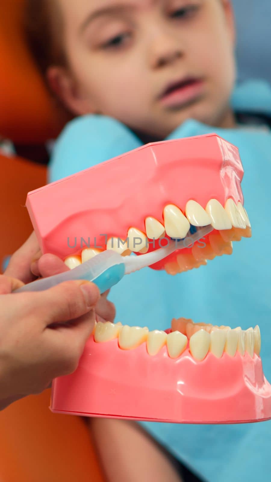 Pediatric dentist showing the correct dental hygiene using mock-up of skeleton of teeth. Stomatologist doctor explaining proper dental hygiene to patient holding sample of human jaw with toothbrush.