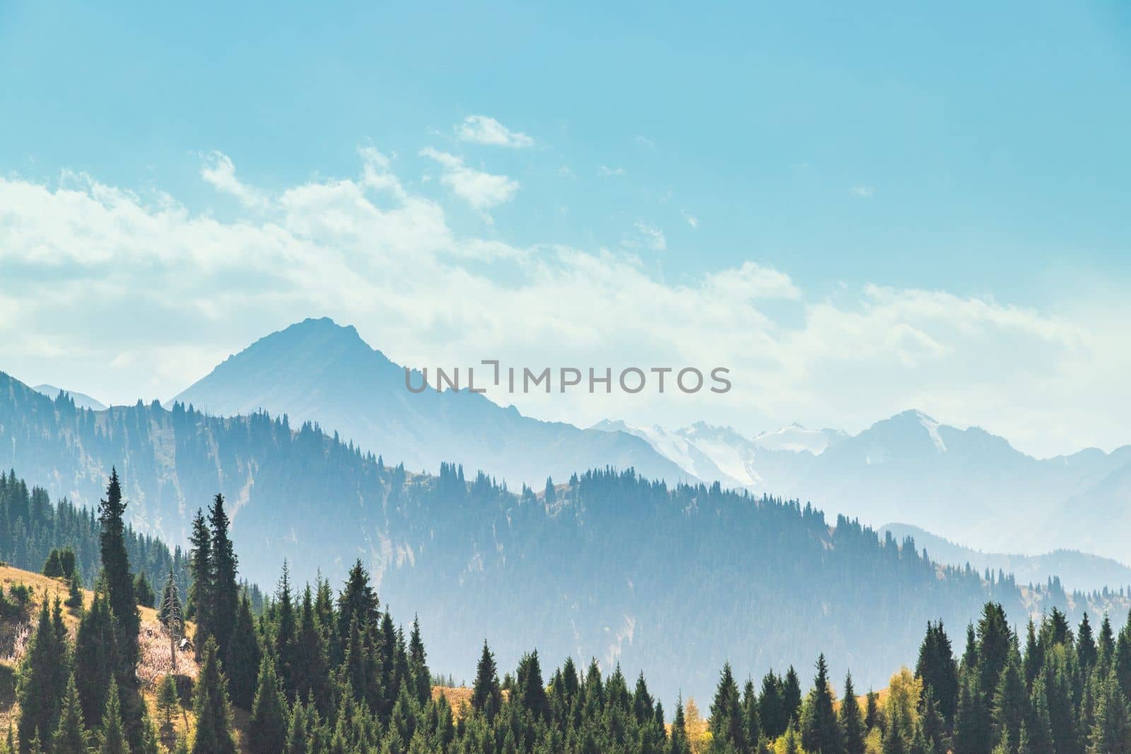 Amazing landscape of summer Almaty mountains. View of the misty slopes of the Tian Shan mountains in Kazakhstan. Travel background.