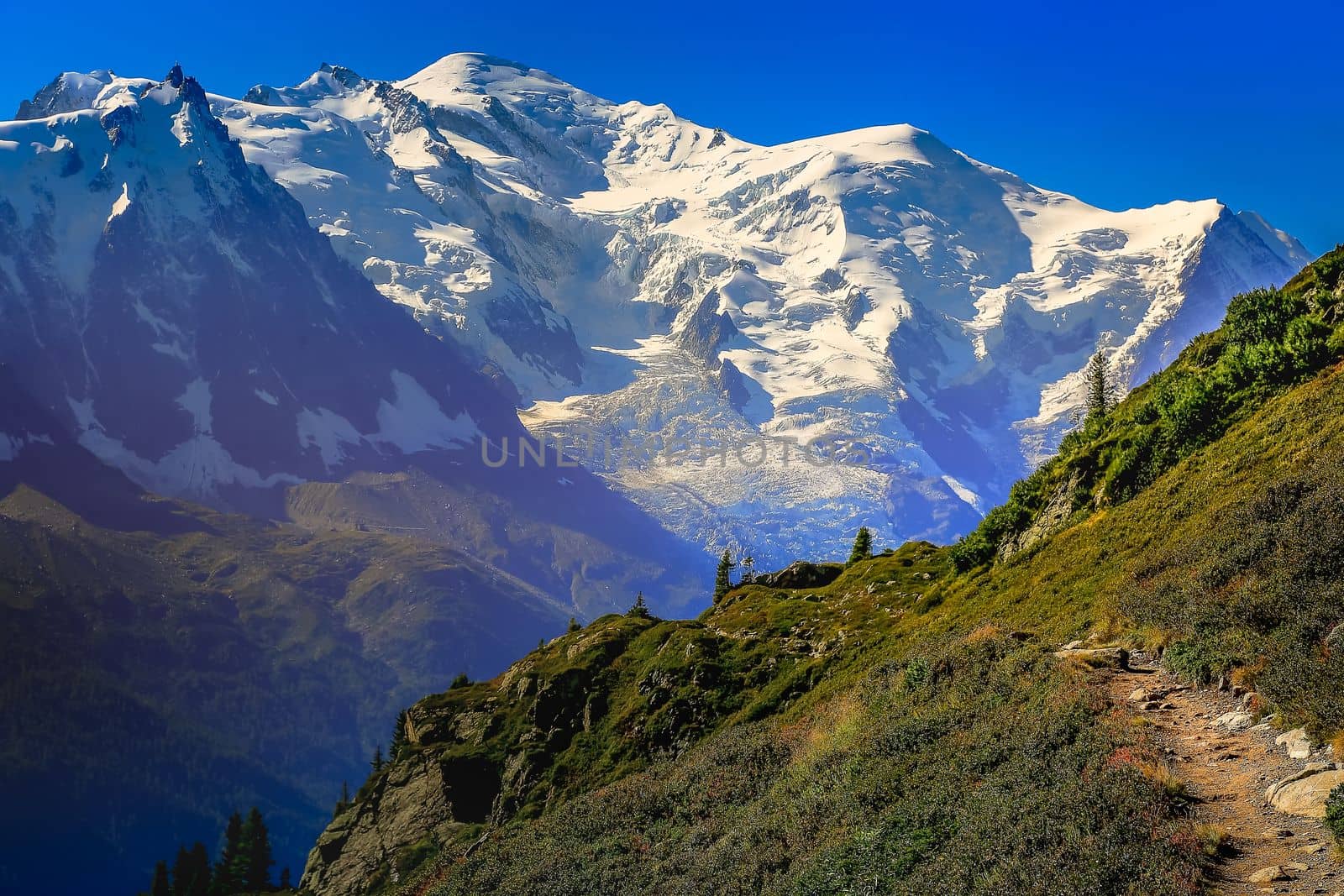 Mont Blanc massif idyllic alpine landscape countryside at sunny day, Chamonix, French Alps