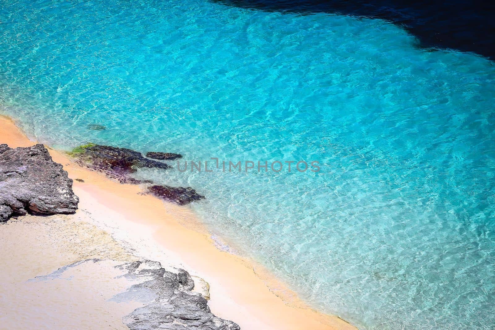 Tropical paradise, sand beach in caribbean Saona Island, Punta Cana, Dominican Republic