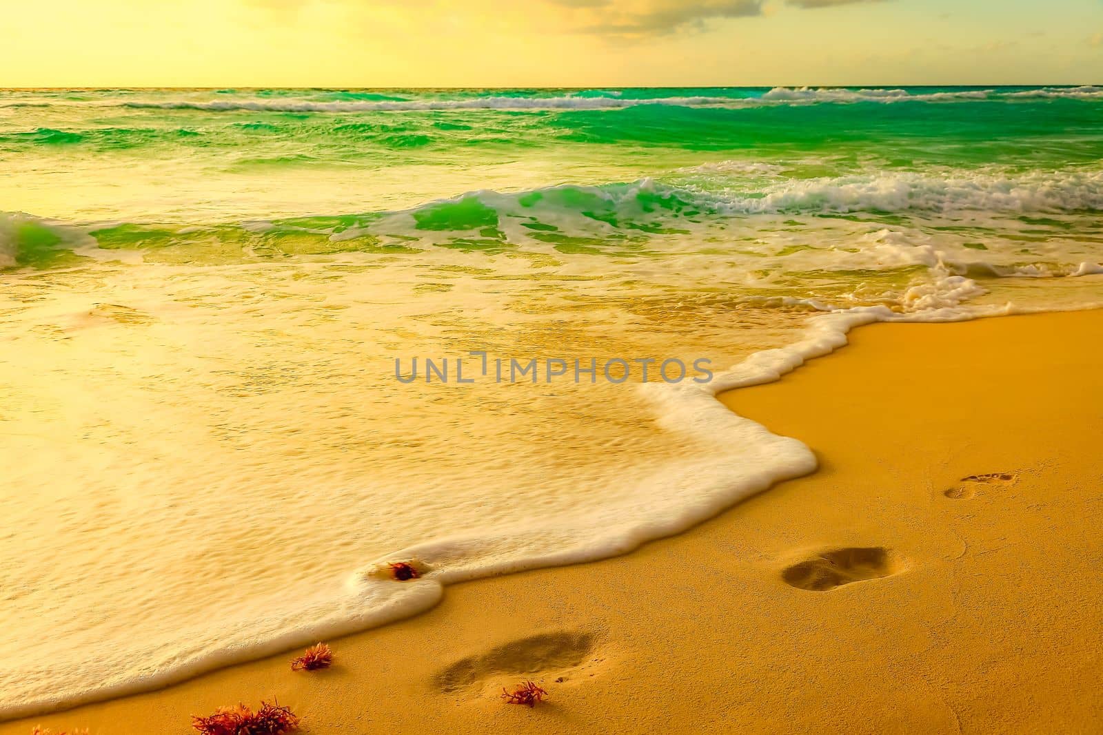 Idyllic and deserted turquoise beach at sunset in Cancun, Mexican Caribbean